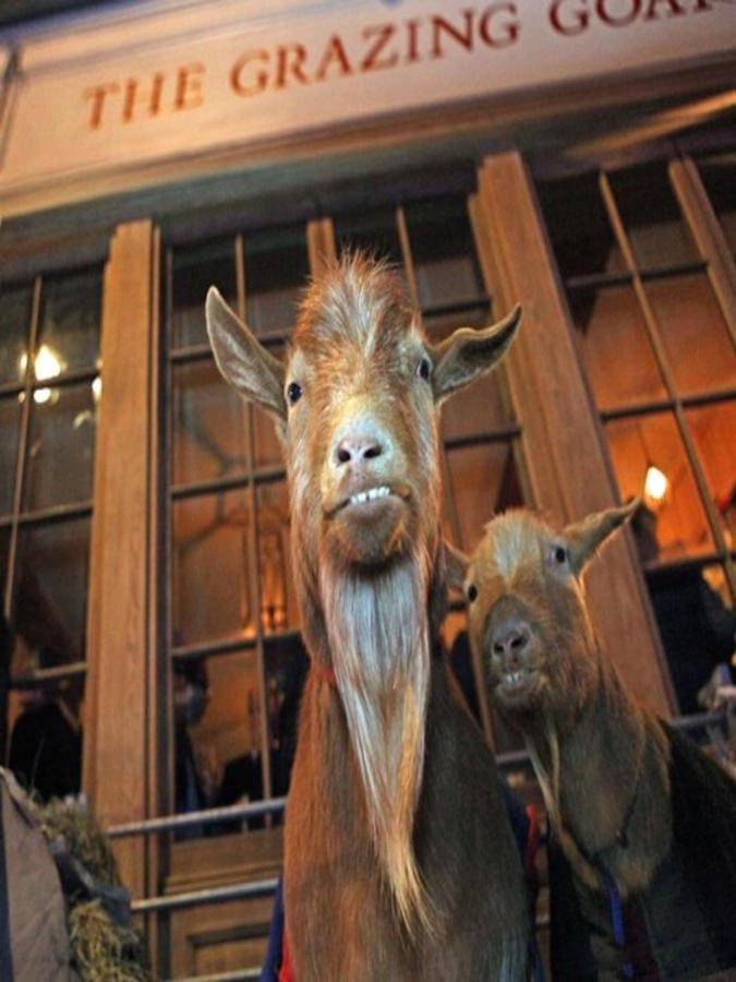 Hotel The Grazing Goat Londres Exterior foto